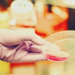 Cefdinir for UTI: A Promising Solution for Urinary Tract Infections cefdinir for uti