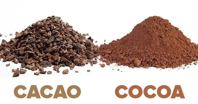 cocoa vs cacao