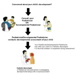 the Role of a Developmental Pediatrician in Child Development developmental pediatrician
