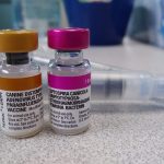 The Essential Guide to the Distemper Vaccine: Protecting Your Pet’s Health distemper vaccine