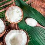 the Secrets of Fractionated Coconut Oil: Benefits and Uses fractionated coconut oil