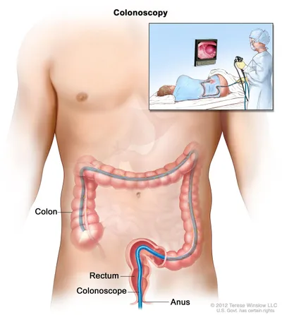 gi doctor near me