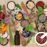Wonders of Herbalism: Ancient Wisdom and Modern Wellness herbalism