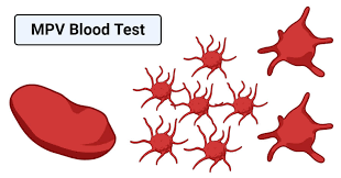low mpv blood test