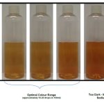 Exploring the Benefits and Uses of Lugol’s Iodine lugol's iodine
