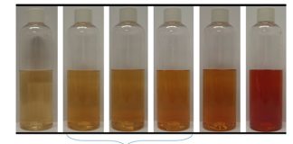 lugol's iodine