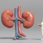 Nephrologist Near Me for Kidney Health nephrologist near me