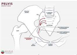 pudendal neuralgia
