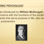 Exploring Percosivism: A Deep Dive into its Meaning and Impact Percosivism purposivism psychology