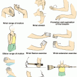 Effective Tennis Elbow Exercises for Pain Relief and Recovery tennis elbow exercises