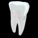 Dealing with a Tooth Sensitive to Cold: Causes, Remedies, and Prevention tooth sensitive to cold