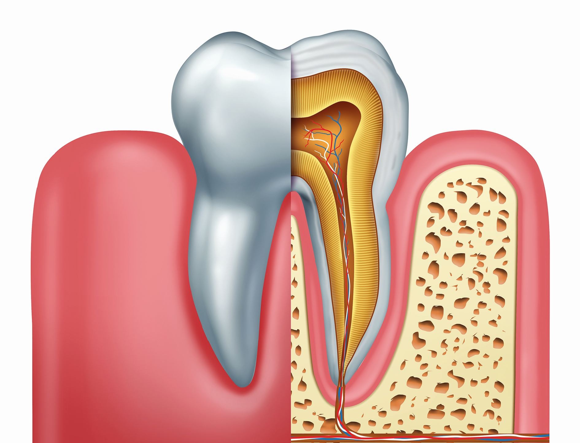 what is endodontics