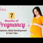 Navigating the Journey 7 Months Pregnant 7 months pregnant