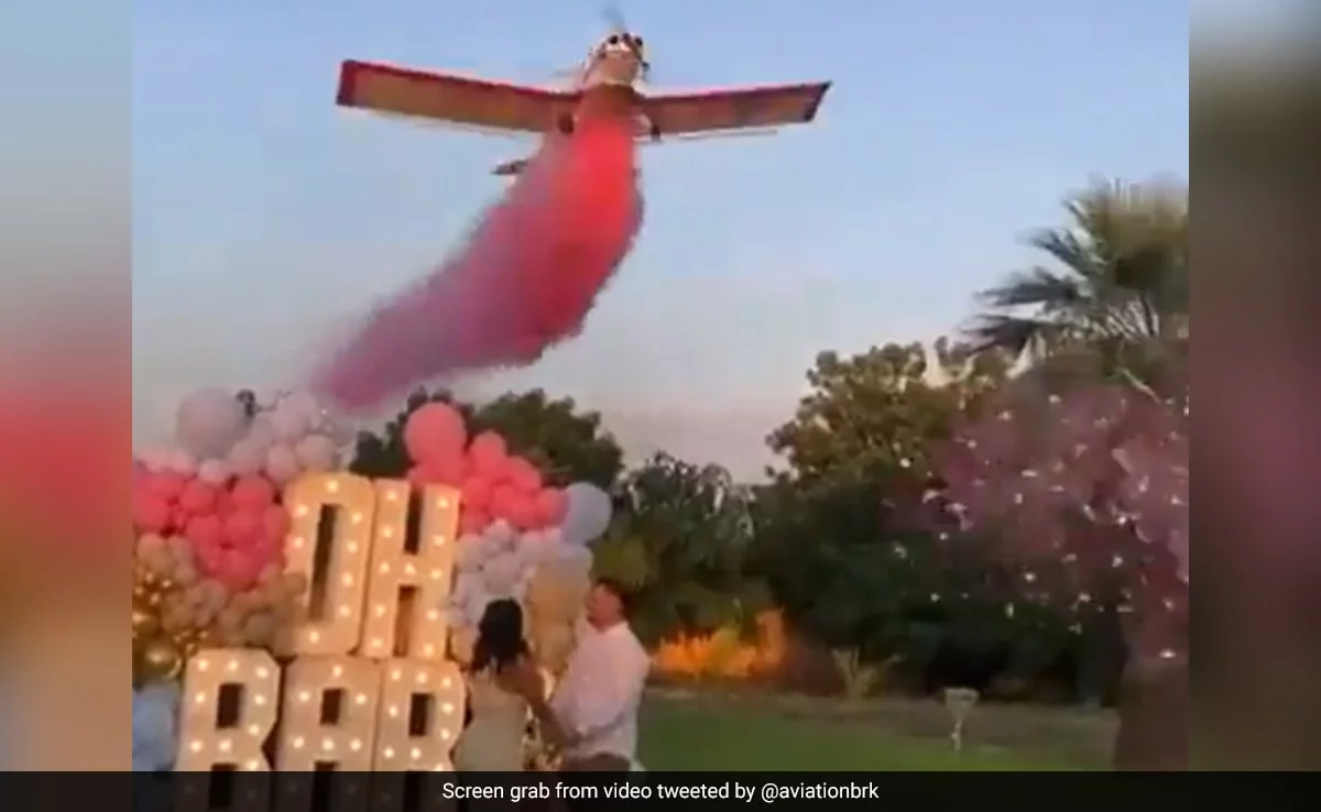 A Tragic Turn: Gender Reveal Plane Crash Shatters Celebration In San ...