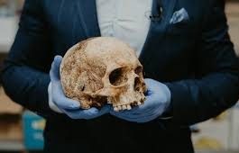 Human Skull Discovery Shocks Arizona’s Goodwill Store Arizona Police Respond After Human Skull Found In Donation Box