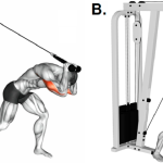 Cable Overhead Tricep Extension: Form, Benefits, and Variations Cable Overhead Tricep Extension