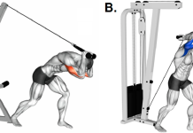 Cable Overhead Tricep Extension: Form, Benefits, and Variations Cable Overhead Tricep Extension