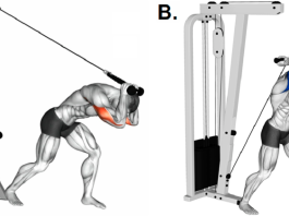 Cable Overhead Tricep Extension