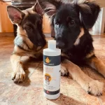 The Ultimate Guide to Camelina Oil for Dogs Camelina Oil for Dogs
