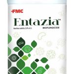 FMC India Unveils ENTAZIA Biofungicide: A Game-Changer in Sustainable Crop Protection ENTAZIA Biofungicide