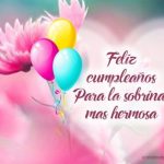 Feliz Cumpleaños Sobrina 01