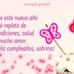 Feliz Cumpleaños Sobrina