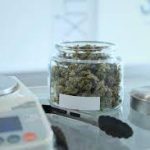 Marijuana Shop Owner Convicted of Federal Tax Evasion and Obstruction of Justice Marijuana Shop Proprietor Found Guilty Of Federal Tax Evasion And Obstruction Of Justice Via Dual Accounting