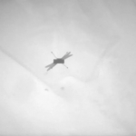 A new height is reached: NASA Ingenuity helicopter makes a record flight on Mars NASA