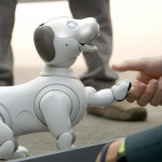 Sony launches foster care program for its aging robot dogs Sony launches robotic dogs