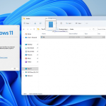 Windows 11