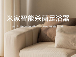 Xiaomi Mijia foot bath