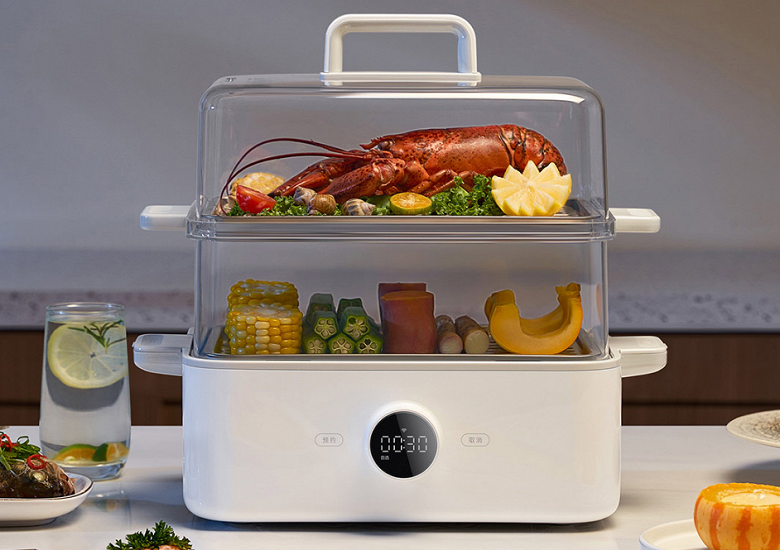 Xiaomi's newest steamer