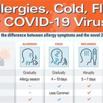 Allergies or Cold the Mystery Behind Your Sniffles and Sneezes allergies or cold