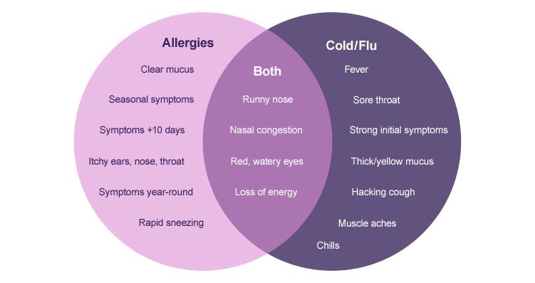 allergies vs cold