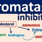 Exploring the Role of Aromatase Inhibitors in Breast Cancer Treatment aromatase inhibitors