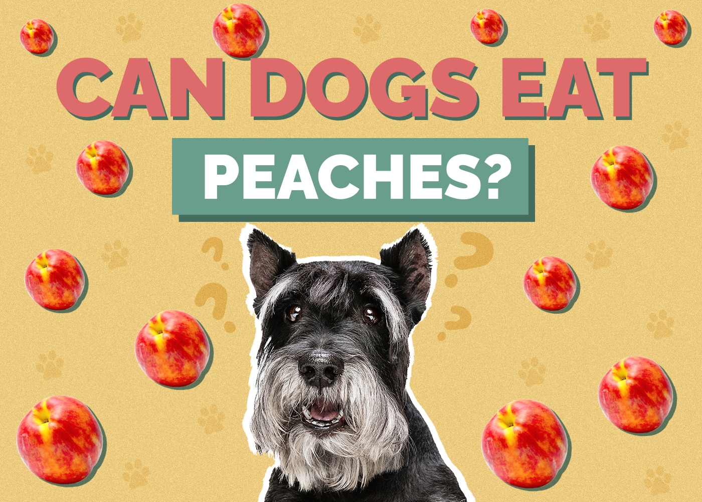 can dogs have peaches