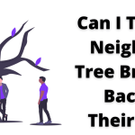 Can I Throw Neighbors’ Tree Branches Back in Their Yard? A Comprehensive Guide to Neighborly Etiquette and Legal Boundaries can i throw neighbors tree branches back in their yard
