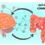Can Stress Cause Diarrhea the Gut-Brain Connection can stress cause diarrhea