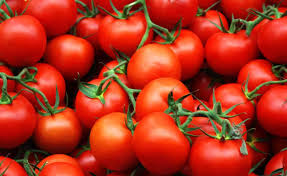 carbs in tomatoes