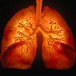 Conquer the Chest Cold Effective Remedies and Prevention Tips chest cold