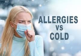 cold vs allergies