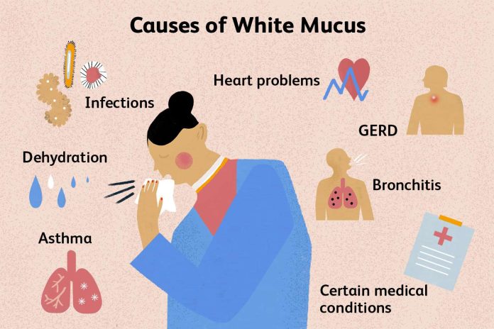 Clearing the Air: Understanding the Importance of Coughing Up Mucus ...