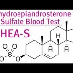 DHEA Sulfate Demystified: Your Guide to Hormonal Harmony dhea sulfate