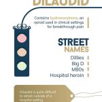 Dilaudid Side Effects Risks and Precautions dilaudid side effects