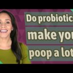 The Scoop on Probiotics Do Probiotics Make You Poop do probiotics make you poop