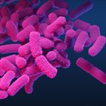 ESBL Infections: The Silent Threat in Healthcare esbl