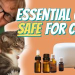 A Guide to Essential Oils Safe for Cats Feline-Friendly Aromatherapy essential oils safe for cats
