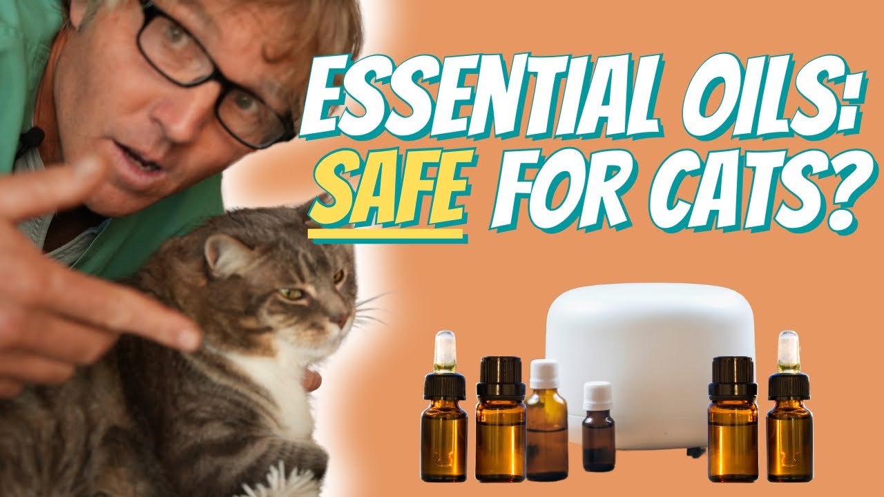 essential oils safe for cats