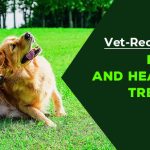 omprehensive Guide to Heartworm Treatment for Dogs: Saving Lives One Wag at a Time heartworm treatment for dogs