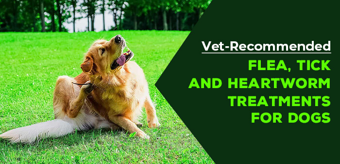 heartworm treatment for dogs